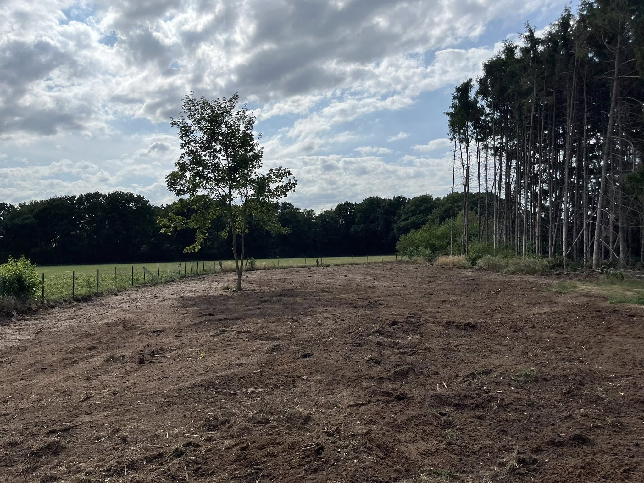 Bouwrijp maken van terrein – Grondwerken Moons