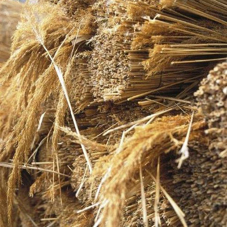 Constructie rieten dak Wuustwezel - Rasenberg Riet