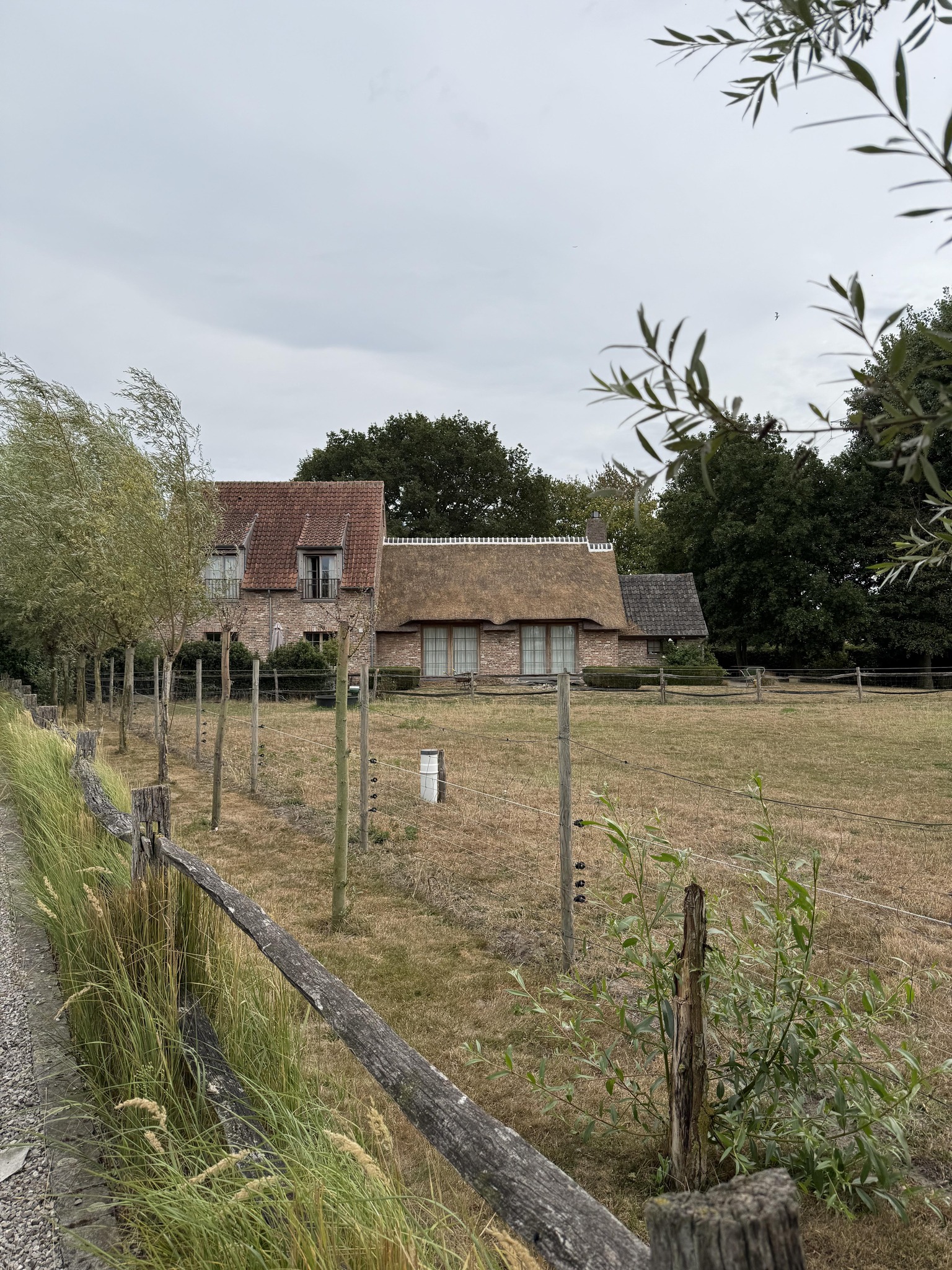 Rieten daken Wuustwezel - Rasenberg Riet