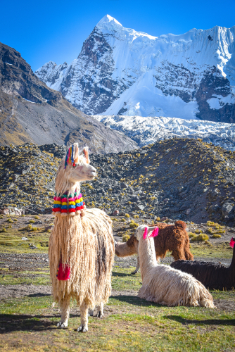 Peruviaanse juwelen en ambachtelijk handwerk uit Peru