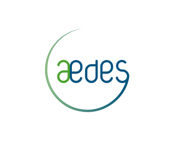 Aedes